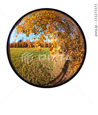 shadow falling on green grass of a man against the background of an autumn forest shadow falling on green grass of a man against the background of an autumn forest 131271573