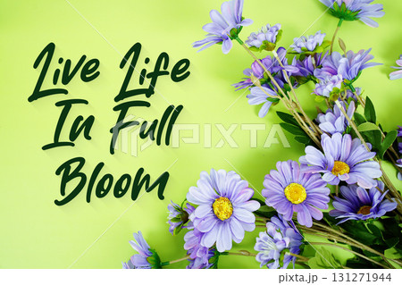 Live Life in Full Bloom Motivational And Inspirational Quotes 131271944