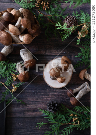Basket with edible white mushrooms. Boletus edulis. Collect porcini in forest Basket with edible white mushrooms. Boletus edulis. Collect porcini in forest 131272080