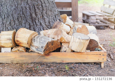 Woodpile fresh cut logs near tree. Storage of firewood. Firewood warehouse in countryside. Woodpile fresh cut logs near tree. Storage of firewood. Firewood warehouse in countryside. 131272136