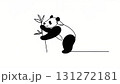 パンダの線画 131272181