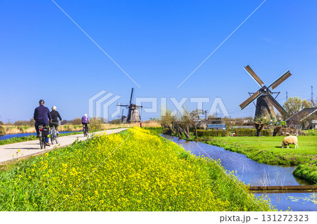 activities in Holland countryside 131272323