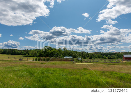 Sunny rural landscape with green fields and clouds 131272442