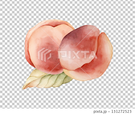 Peach Summer Juicy Ripe Fruits Leaf. Watercolor hand drawn floral food illustration isolated on white background for home kitchen textile fresh fabric print card cosmetic package porcelain crockery Peach Summer Juicy Ripe Fruits Leaf. Watercolor hand drawn floral food illustration isolated on white background for home kitchen textile fresh fabric print card cosmetic package porcelain crockery 131272523