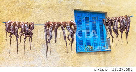 traditions of Greek cuisine - octopus drying in sun traditions of Greek cuisine - octopus drying in sun 131272590