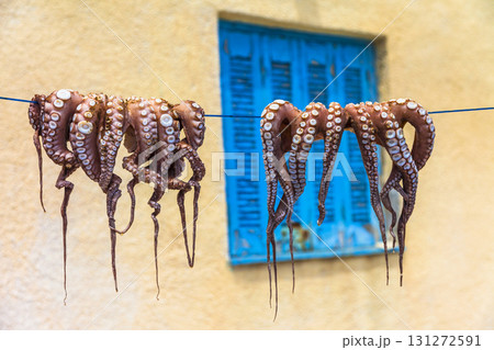 traditions of Greek cuisine - octopus drying in sun traditions of Greek cuisine - octopus drying in sun 131272591