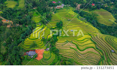 Aerial view of Rice terraces on a steep mountain in Vietnam Aerial view of Rice terraces on a steep mountain in Vietnam 131273851
