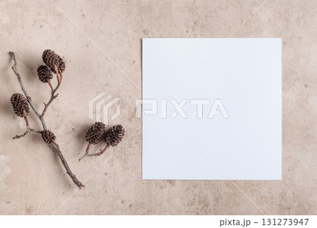 Autumn empty 5x5 white square card mockup with dry plant on beige stone background Autumn empty 5x5 white square card mockup with dry plant on beige stone background 131273947