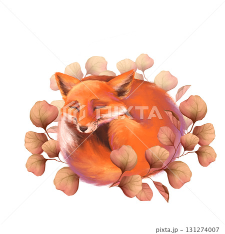 Hand-drawn illustration of sweet sleeping fox curled up in cozy frame of round autumnal foliage Hand-drawn illustration of sweet sleeping fox curled up in cozy frame of round autumnal foliage 131274007