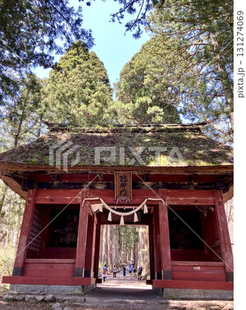 戸隠神社奥宮 参道 戸隠神社奥宮 参道 131274069