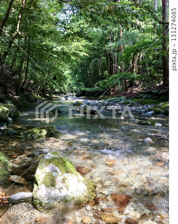 瀧原宮　透明な川　新緑 131274085