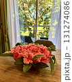 窓辺に置かれた赤いハイビスカスの花 131274086