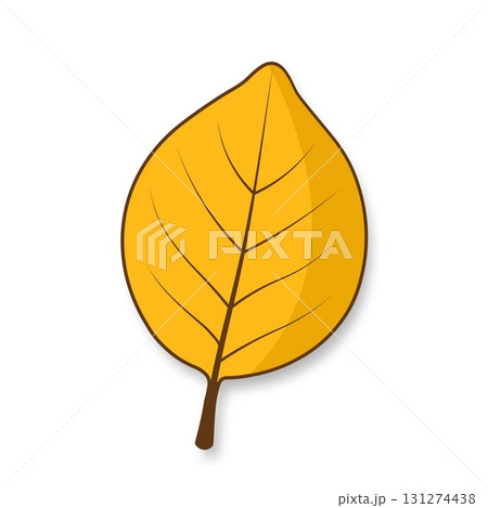 A yellow, simple autumn tree leaf with a shadow on a white background. 131274438