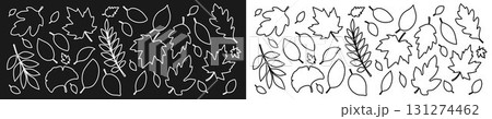 A large set of contours of white and black autumn leaves of different shapes. 131274462