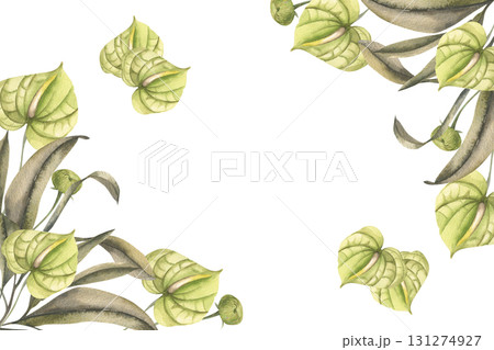 Floral foliage watercolor banner with tropical anthurium flowers and greenery illustrations. Hand drawn frame with exotic botanical elements for card, wedding invitation summer design Floral foliage watercolor banner with tropical anthurium flowers and greenery illustrations. Hand drawn frame with exotic botanical elements for card, wedding invitation summer design 131274927