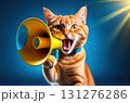 Adorable cat making a statement through a vibrant megaphone. 131276286