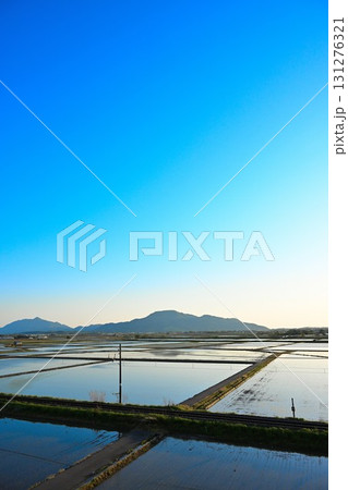 春の越後平野 田園風景(新潟県) 春の越後平野 田園風景(新潟県) 131276321