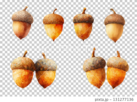 複数のどんぐりセットのイラスト素材｜秋・木の実・透過PNG 131277136