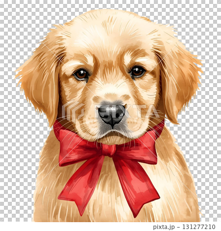 Golden retriever puppy with red bow in a cheerful and playful expression 131277210