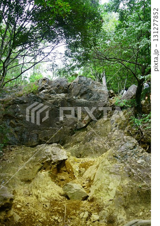 8298 日和田山 男坂の登山道 8298 日和田山 男坂の登山道 131277852