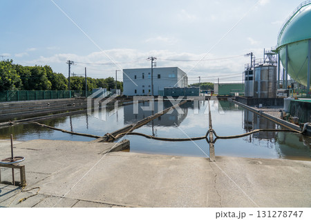 かん水の集水プール 131278747