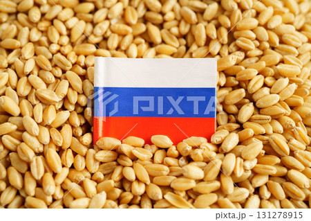 Russia flag on grain wheat, trade export and economy concept. 131278915