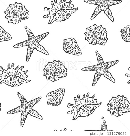 2890_seashell_pat 2890_seashell_pat 131279023