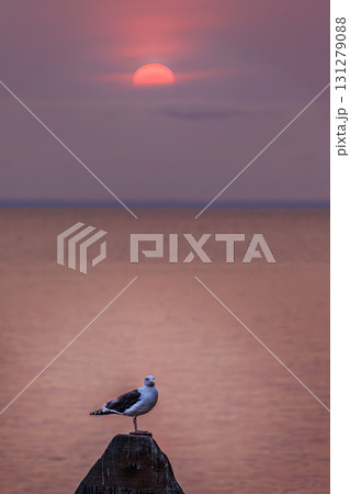 利尻島・人面岩と夕焼けの絶景 利尻島・人面岩と夕焼けの絶景 131279088