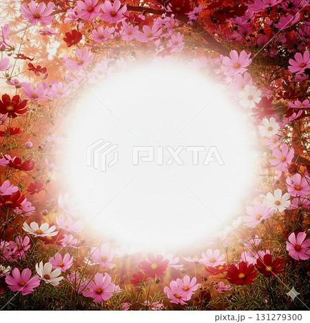 コスモスのフレーム 中央に書き込み用余白スペースあり コスモスのフレーム 中央に書き込み用余白スペースあり 131279300