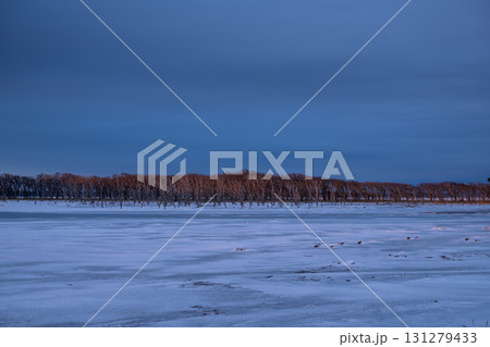 凍てつく静寂、野付半島の冬の朝 131279433