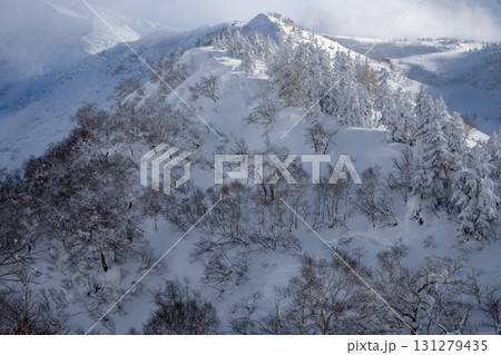 冬の十勝連峰とスノーボーダー 131279435