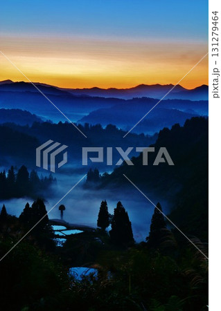 山古志棚田雲海朝焼けの夜明け 131279464