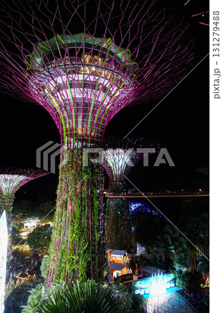 ガーデンズバイザベイの夜景 131279488