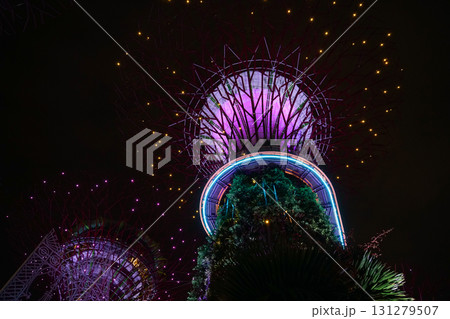 ガーデンズバイザベイの夜景 131279507