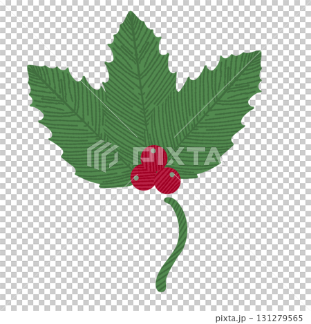 Cute holly illustration 131279565