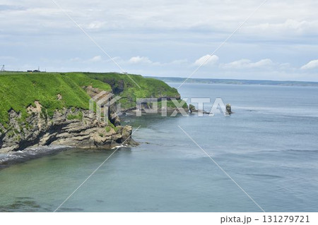 北海道浜中町霧多布岬 131279721