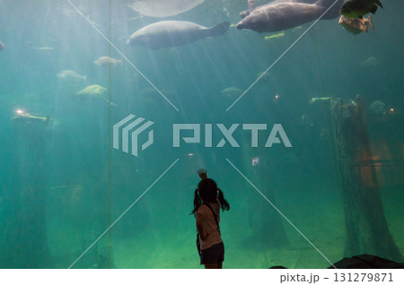 リバーワンダーのAmazon Flooded Forest 131279871