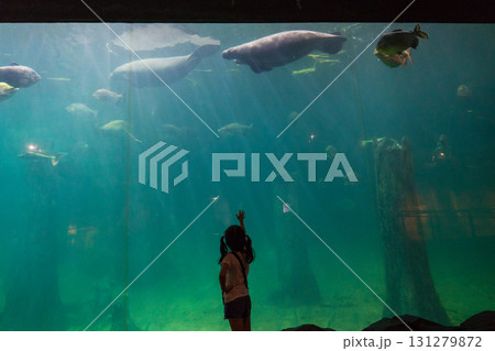 リバーワンダーのAmazon Flooded Forest 131279872