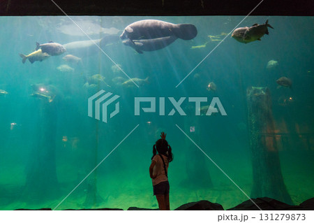 リバーワンダーのAmazon Flooded Forest リバーワンダーのAmazon Flooded Forest 131279873