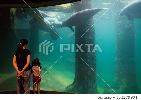 リバーワンダーのAmazon Flooded Forest リバーワンダーのAmazon Flooded Forest 131279901