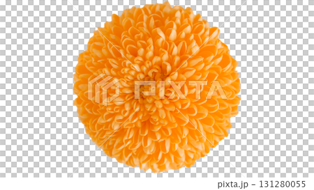 新鮮菊花菊花的剪紙,照片圖像,橙色,白色背景,png透明 新鮮菊花菊花的剪紙,照片圖像,橙色,白色背景,png透明 131280055