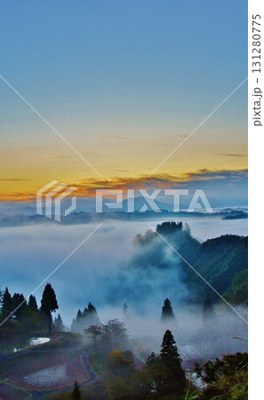 山古志棚田・棚池雲海朝焼けの夜明け 山古志棚田・棚池雲海朝焼けの夜明け 131280775