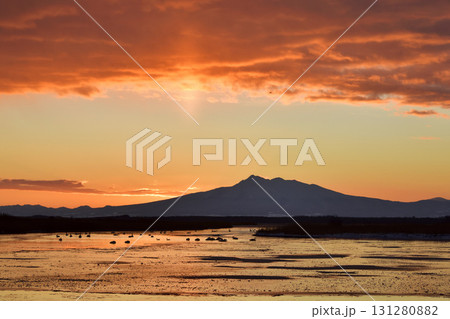 涛沸湖の夜明けと白鳥 131280882