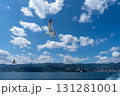 カモメ舞う熱海の海をクルージング 131281001