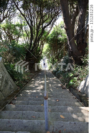 小坪天照大神社の参道の石段(神奈川県逗子市小坪4丁目) 小坪天照大神社の参道の石段(神奈川県逗子市小坪4丁目) 131281216