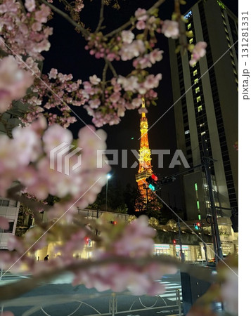 東京タワーと桜 東京タワーと桜 131281331