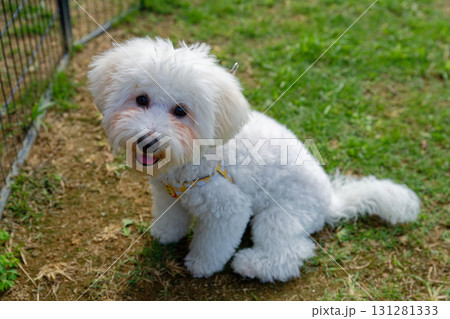 モフ会にて 131281333