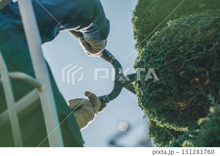 Japanese Gardener 131281760