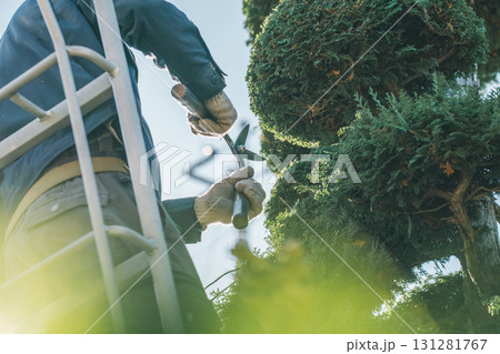 Japanese Gardener Japanese Gardener 131281767