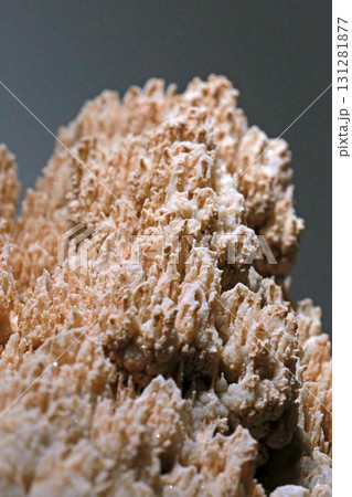 鍾乳石 地学 色 131281877